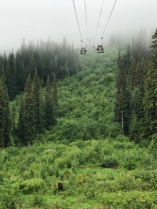 Kicking Horse Mountain Resort- Grizzly Bear Boo